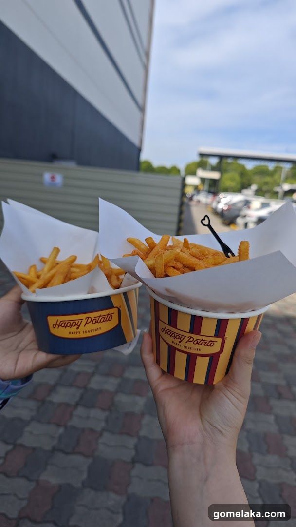 Happy Potato fries