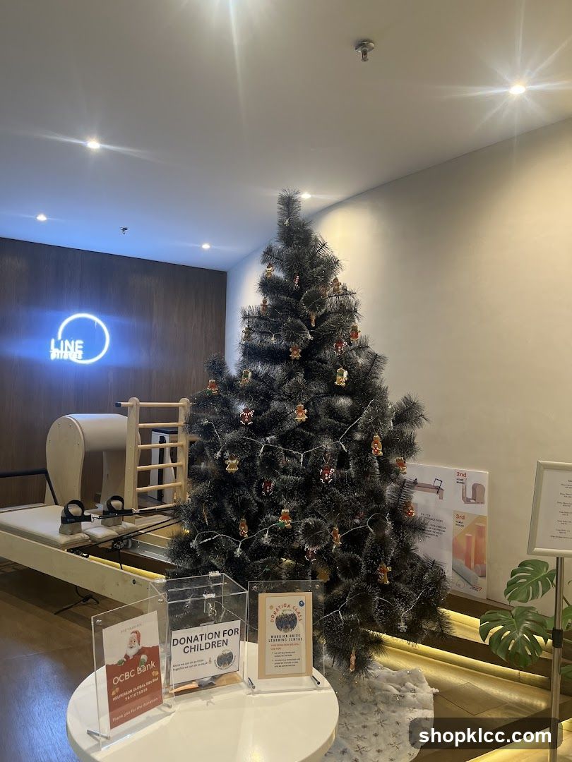 Christmas Tree and Pilates Equipment