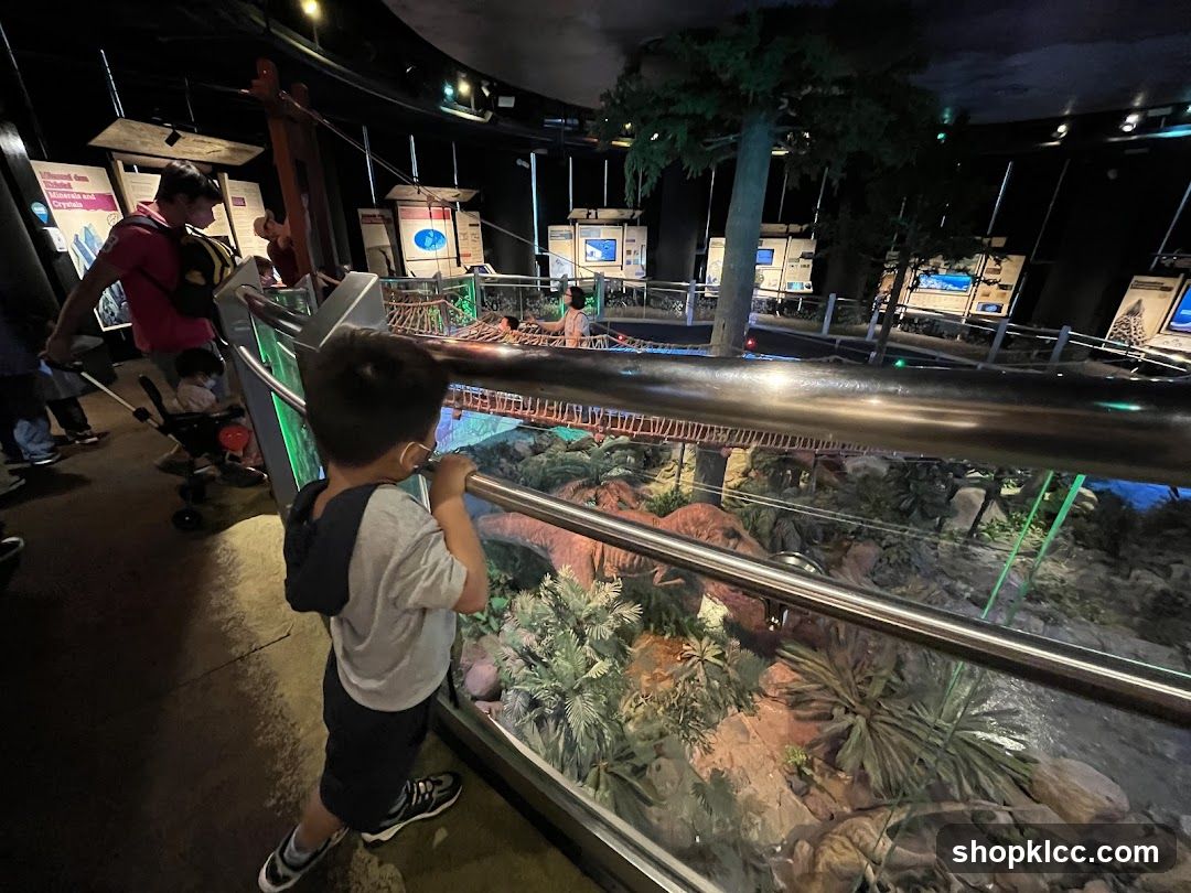 Museum Exhibit
