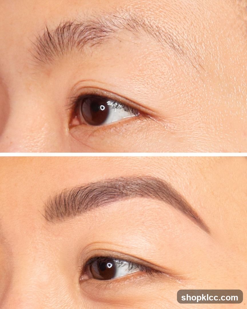 Eyebrow Comparison