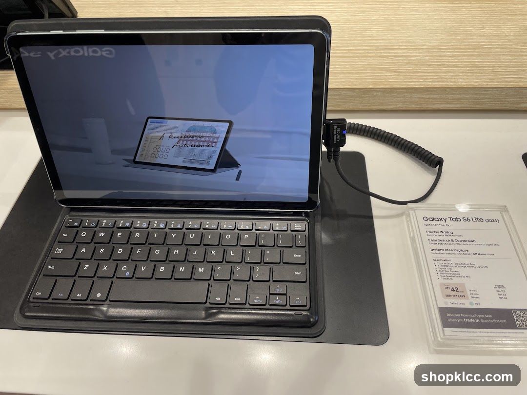 Samsung Galaxy Tab S6 Lite (2024)