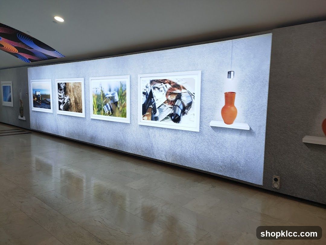 Art Exhibition