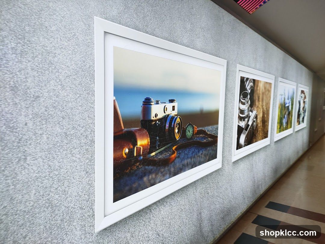 Framed Photographs of Cameras