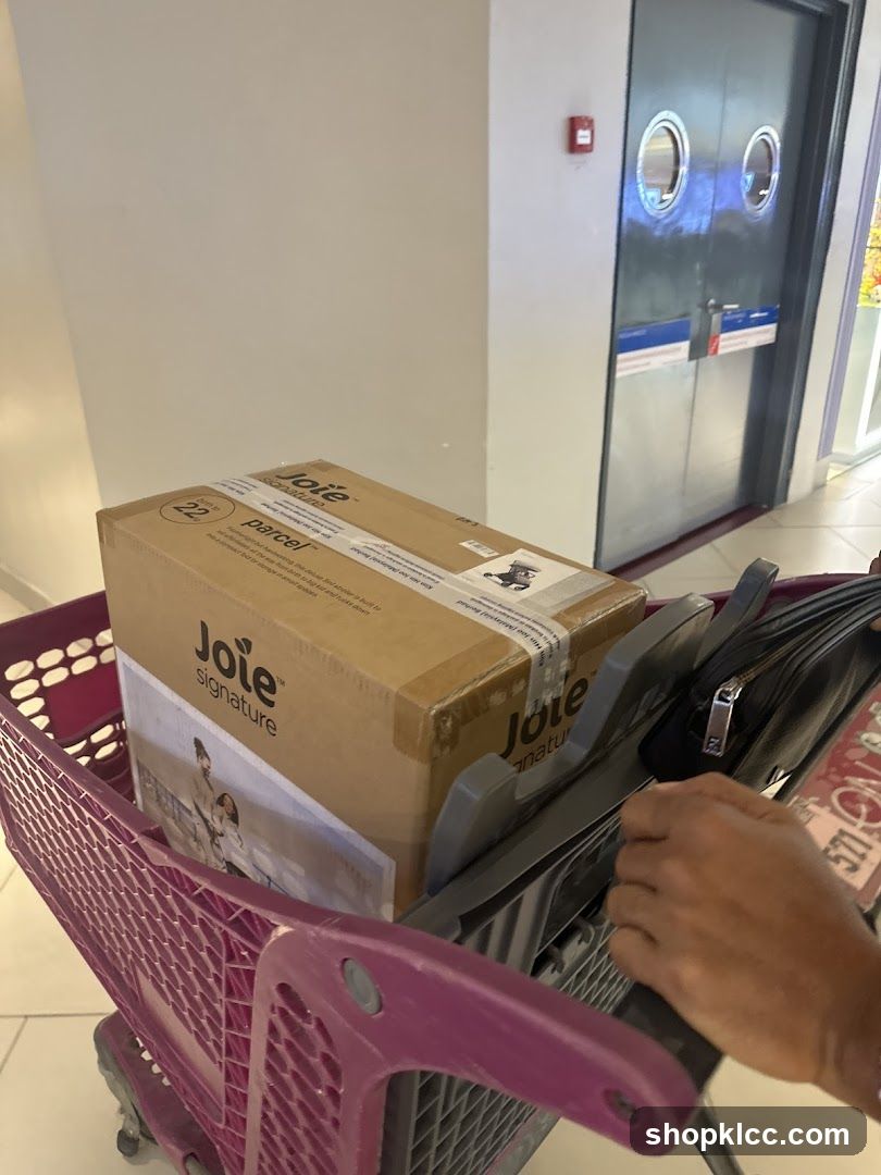 Shopping Cart with Parcel