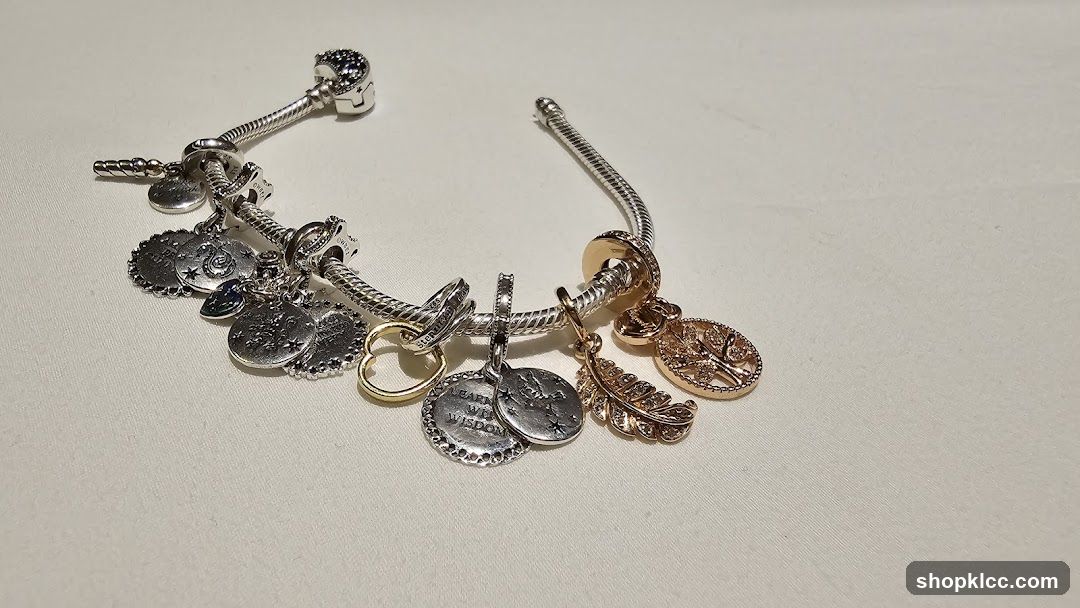 Charm Bracelet with Various Charms