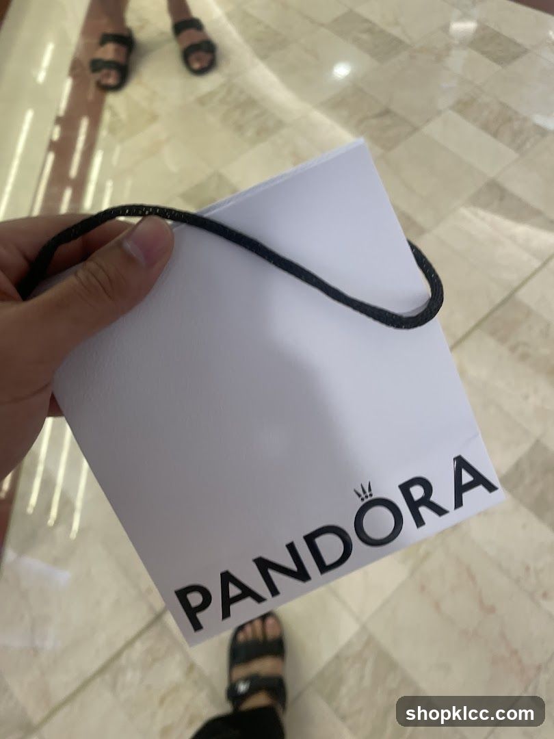 Pandora Shopping Bag