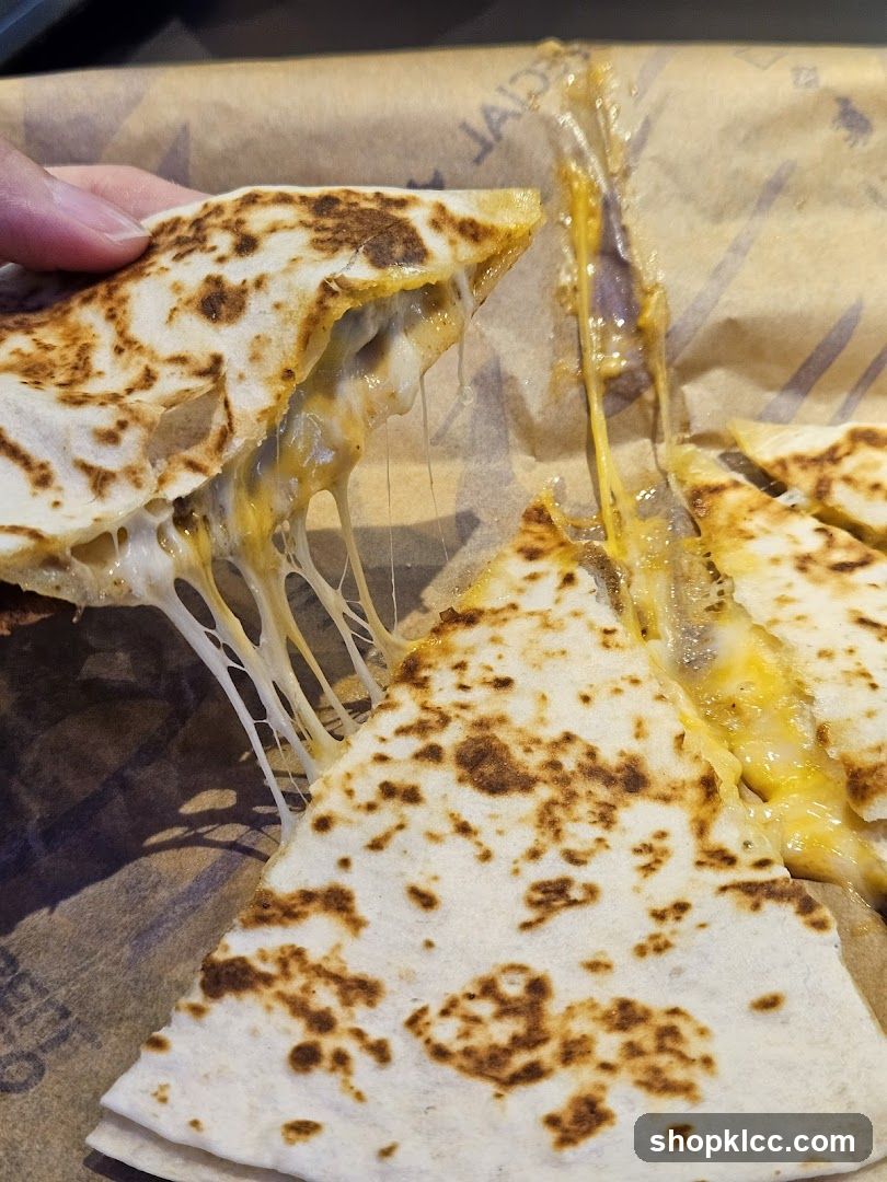 Cheesy Quesadilla