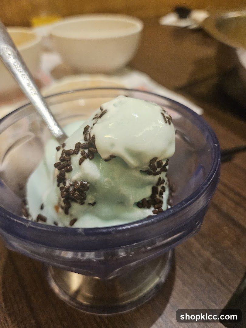 Mint Ice Cream with Chocolate Sprinkles