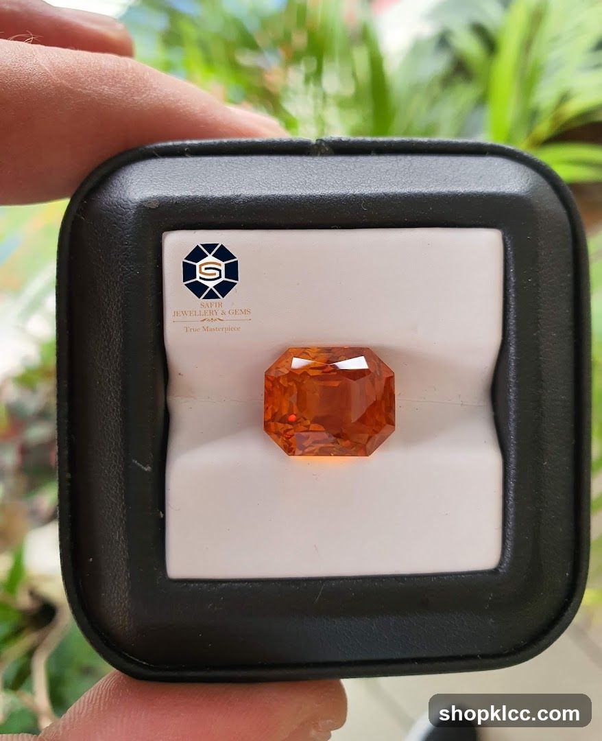 Safir Jewellery & Gems Display Case
