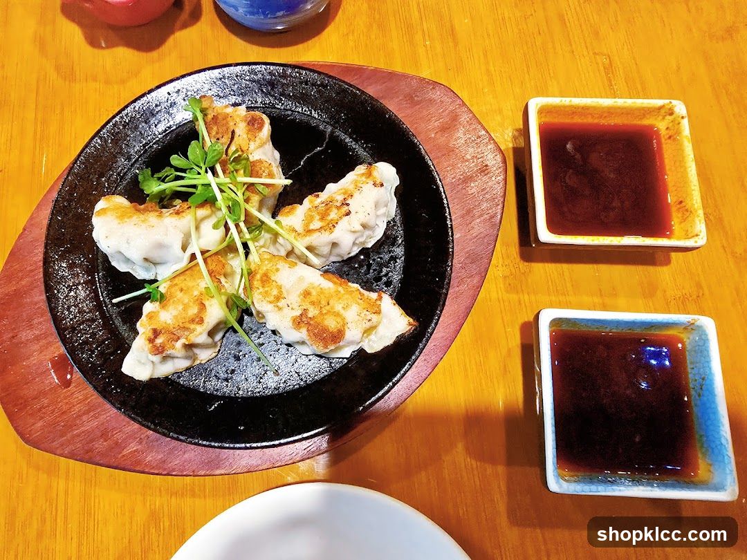 Pan-fried dumplings with dipping sauce