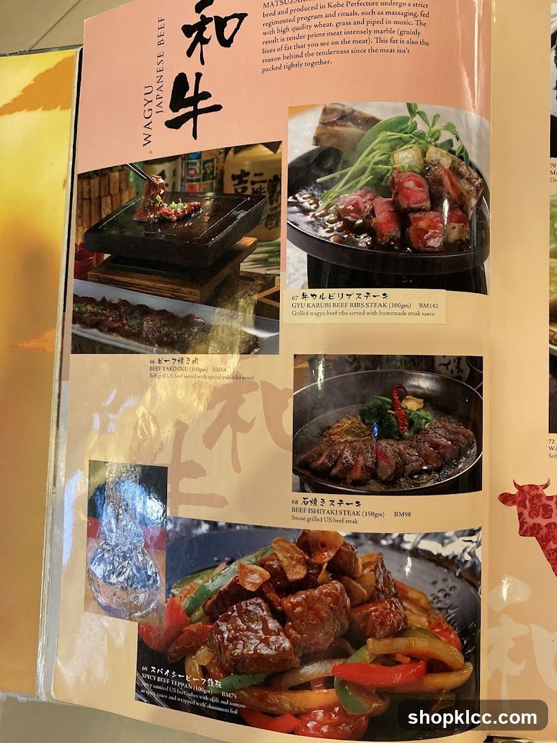 WAGYU JAPANESE BEEF