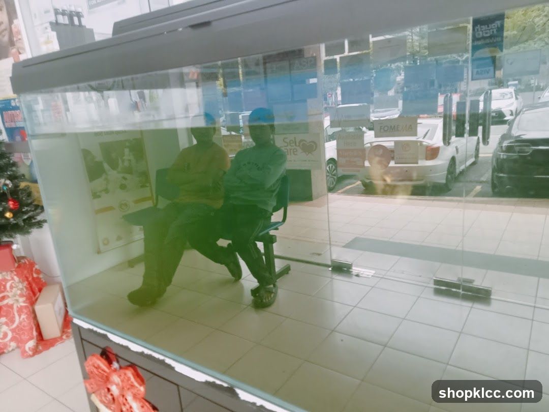 Fish Tank Reflection