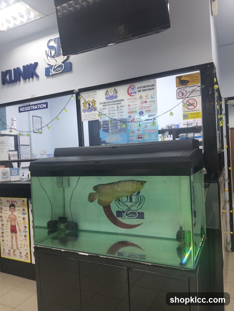 Fish Tank in Clinic Lobby