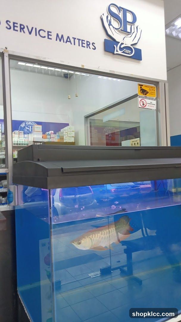 Fish Tank Display