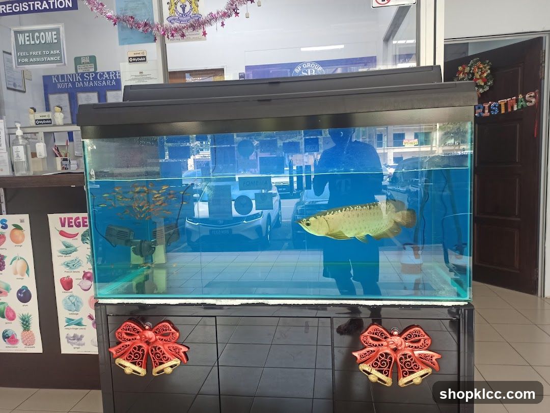 Fish Tank Display