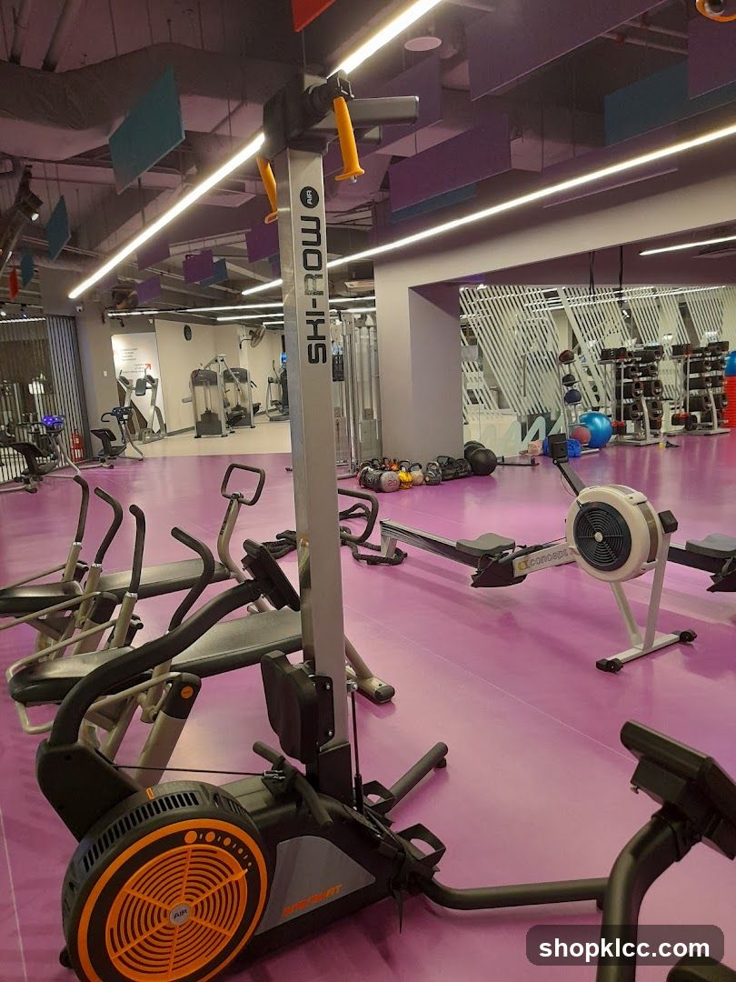Gym Interior with Rowing Machines and Cardio Equipment