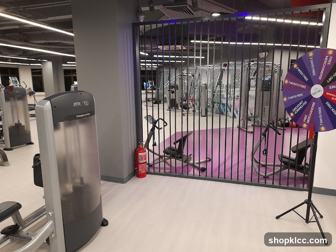 Gym Interior with Spin Wheel