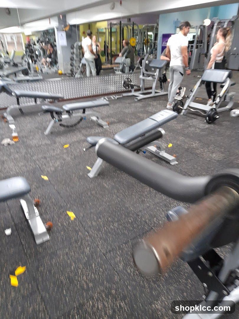 Gym Interior with Equipment and People