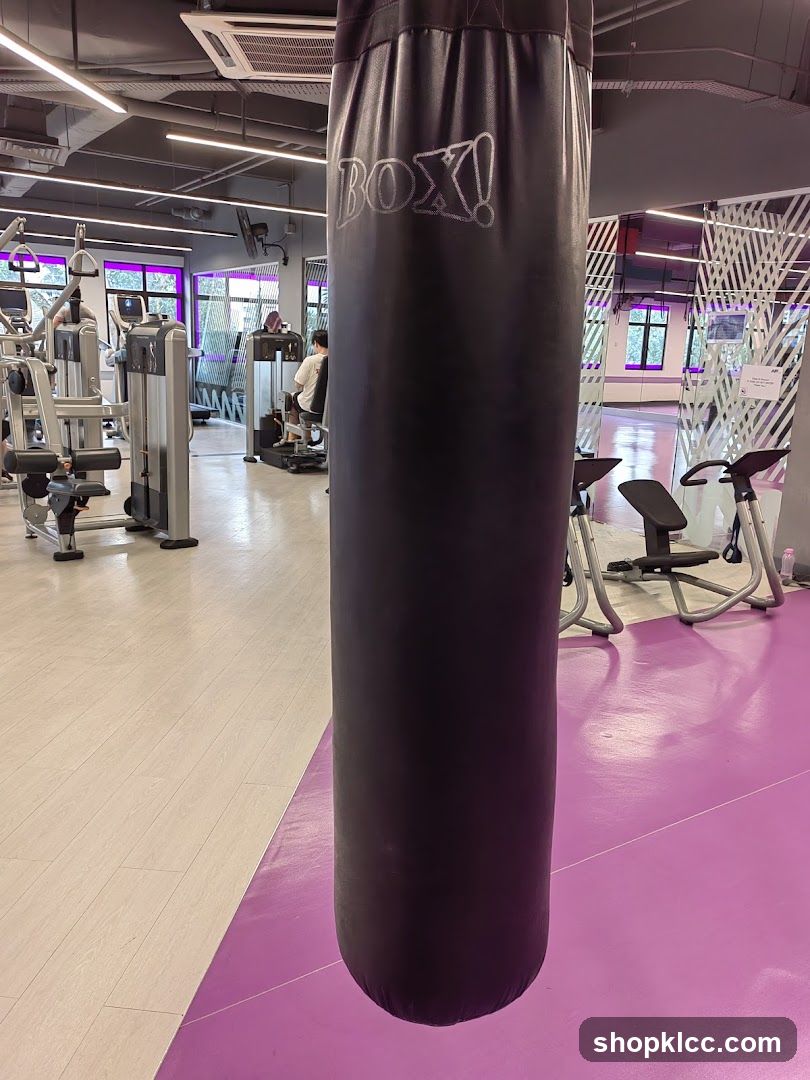 Gym Interior with Punching Bag