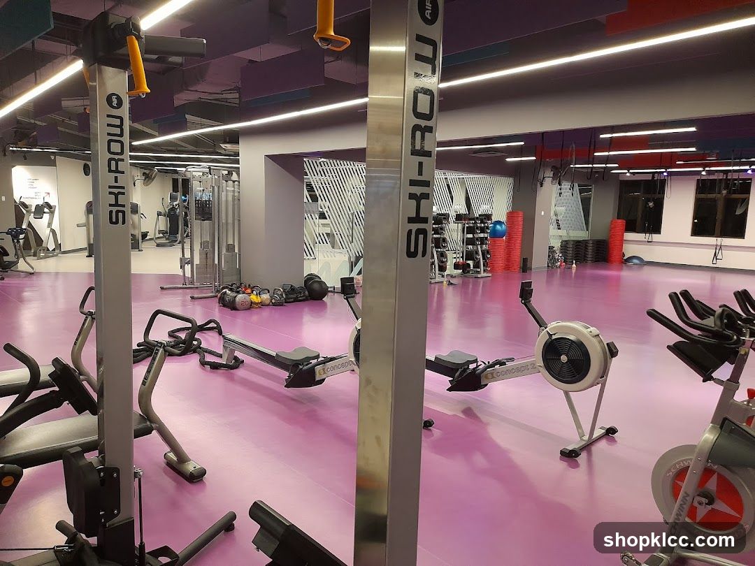 Gym Interior with Rowing Machines and Equipment