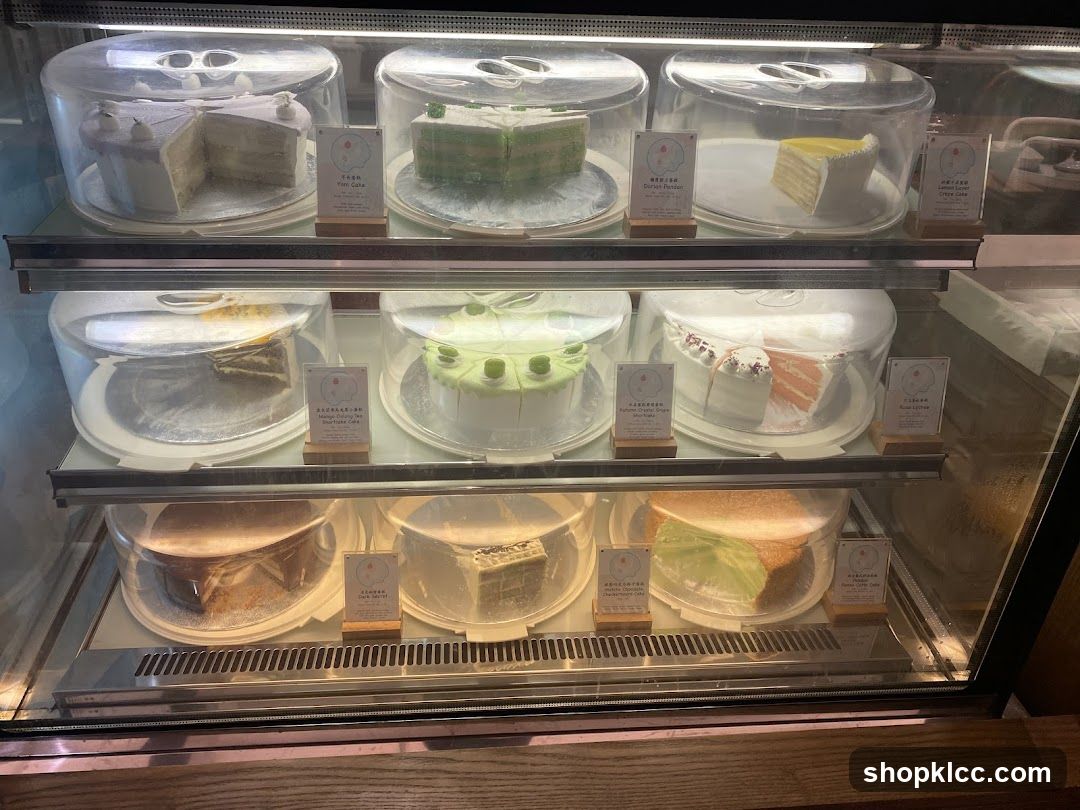 Cake Display Case