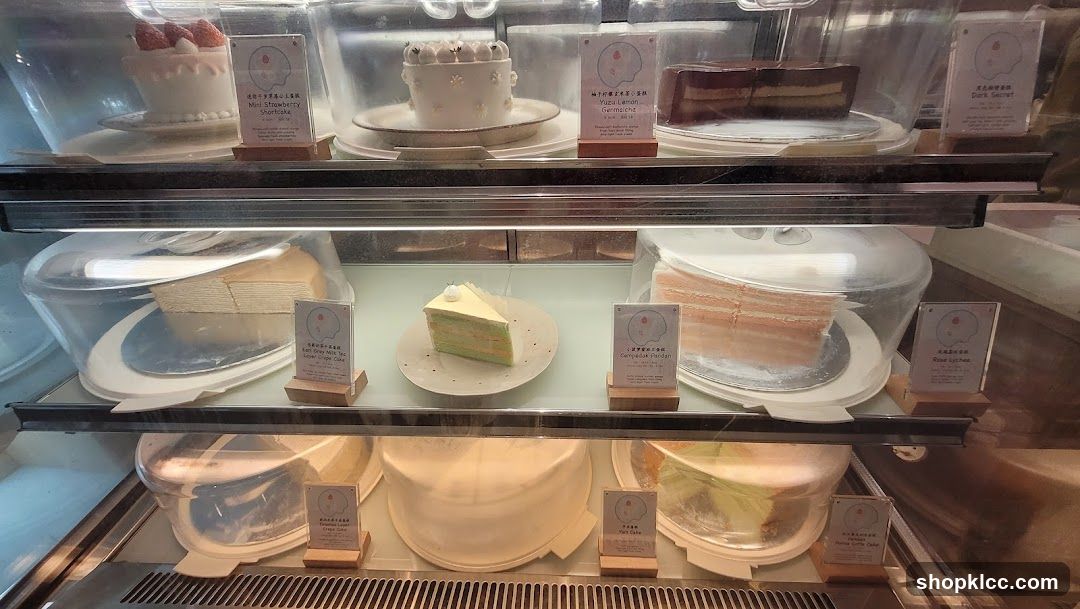 Cake Display Case