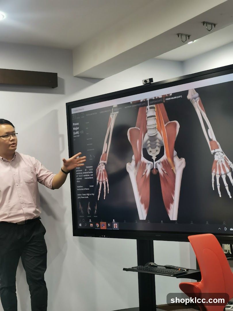 Anatomy Lecture Presentation