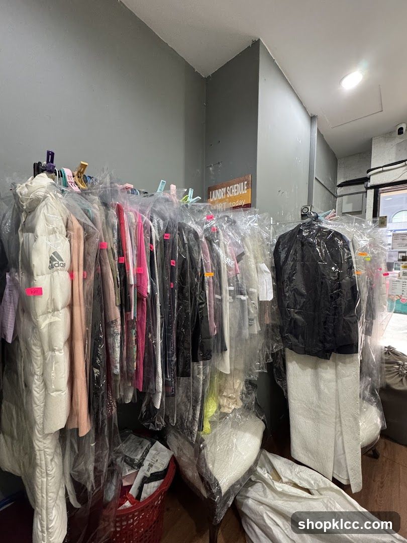 Dry Cleaning Service