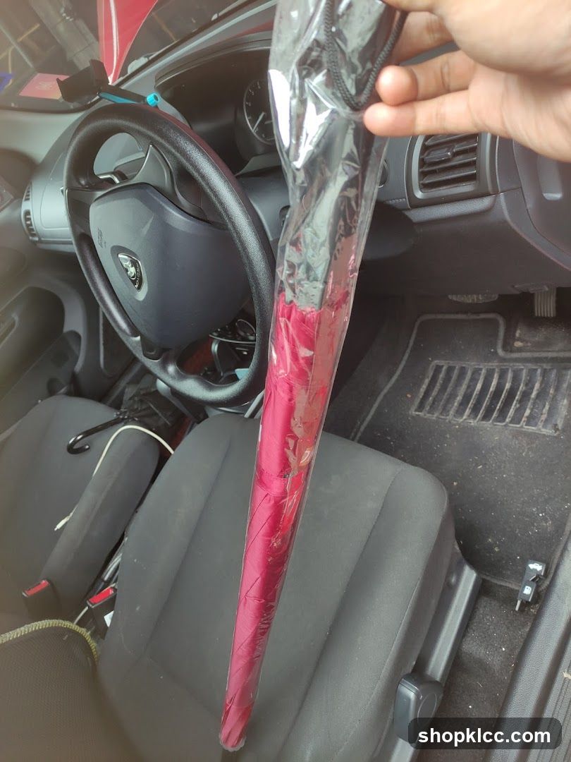 Umbrella in car interior