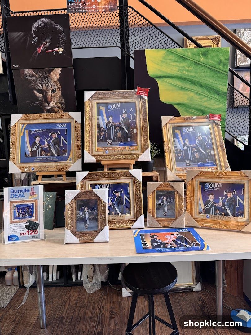 Framed Artwork Display