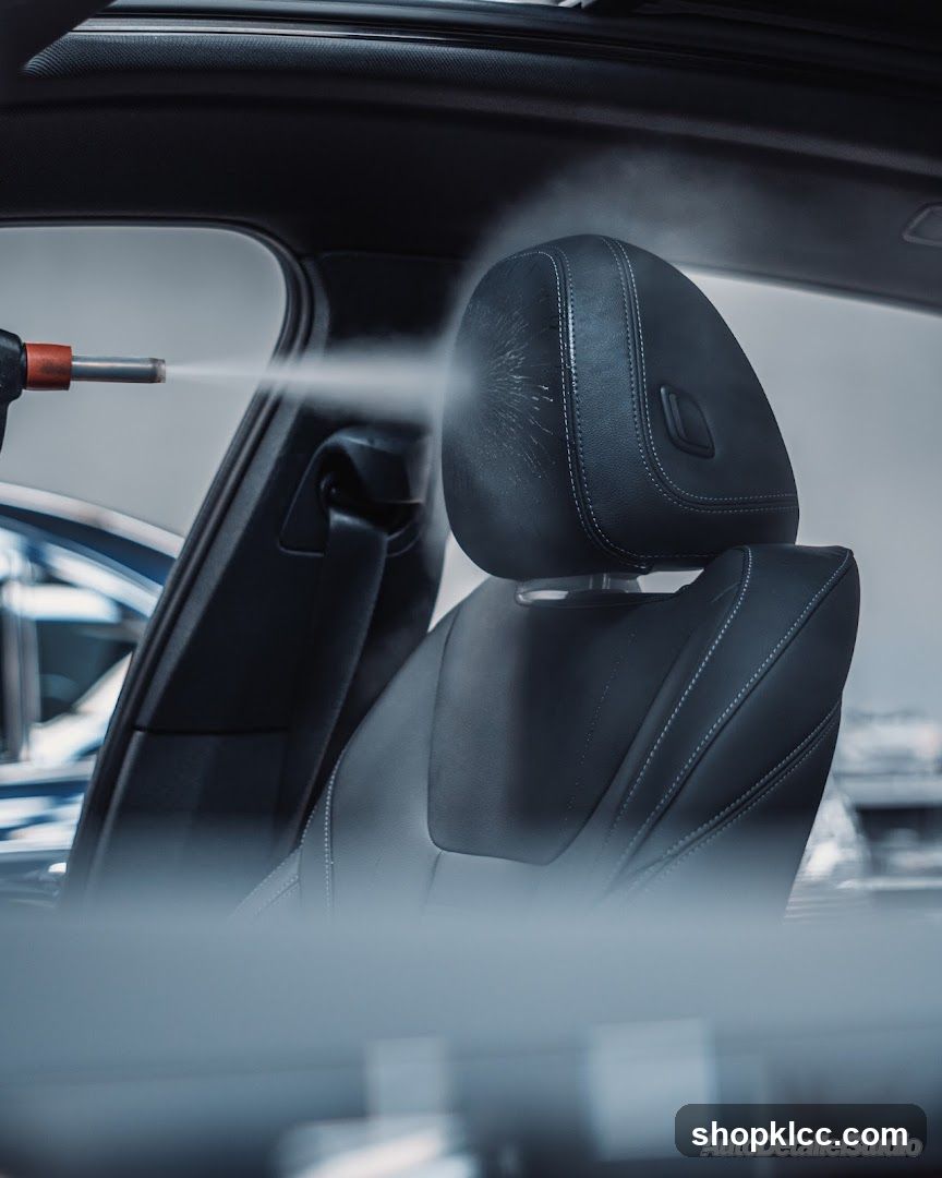 Car Interior Cleaning