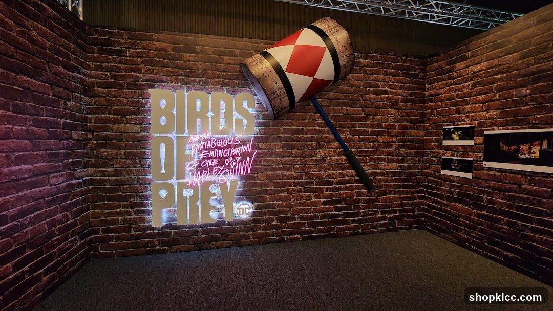 Birds of Prey Display