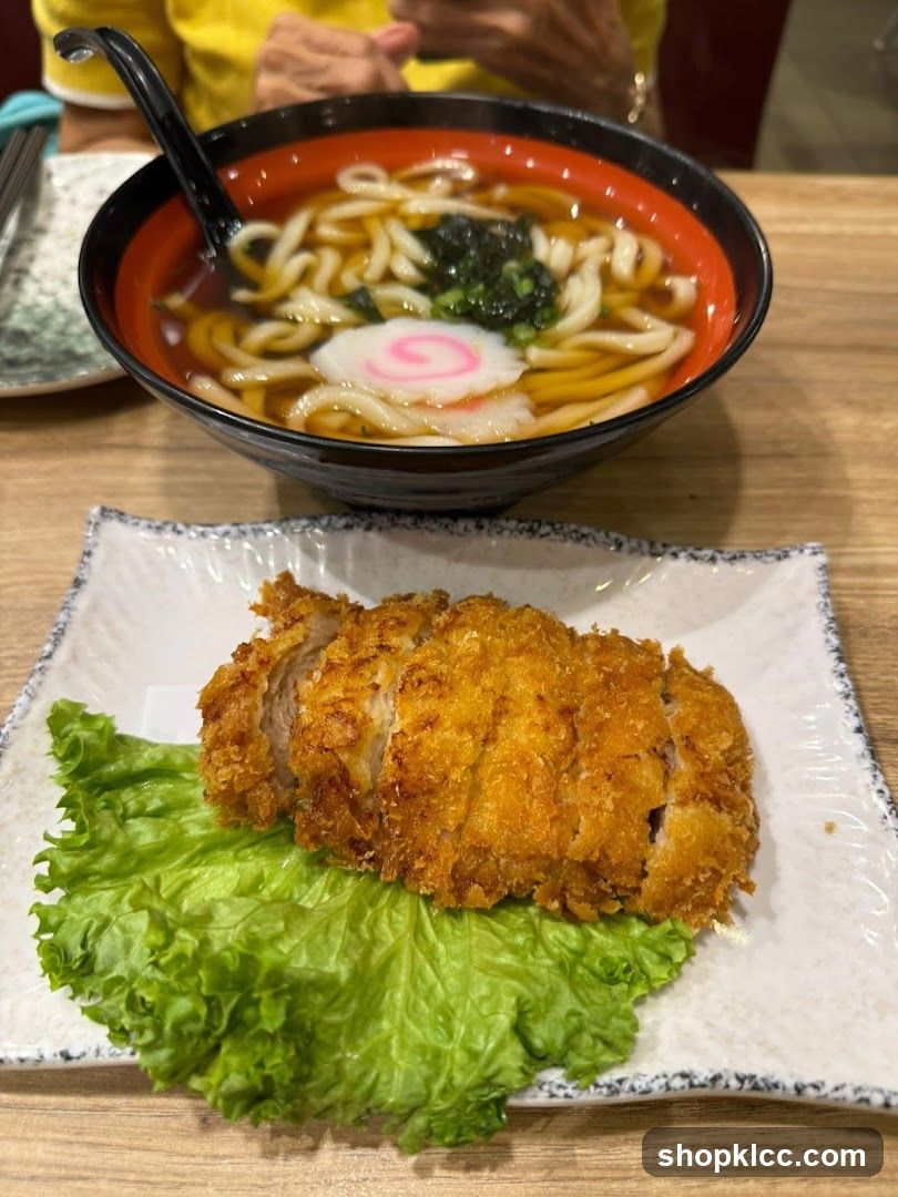 Udon Soup and Katsu