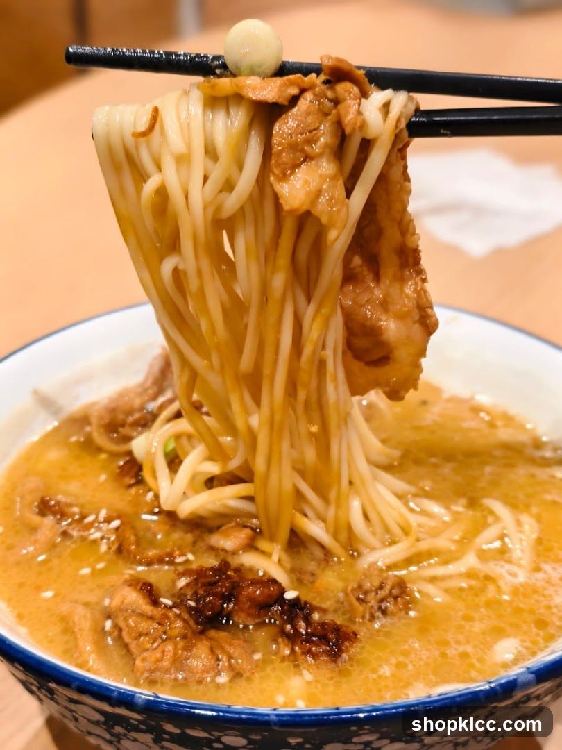 Noodles with Meat and Broth