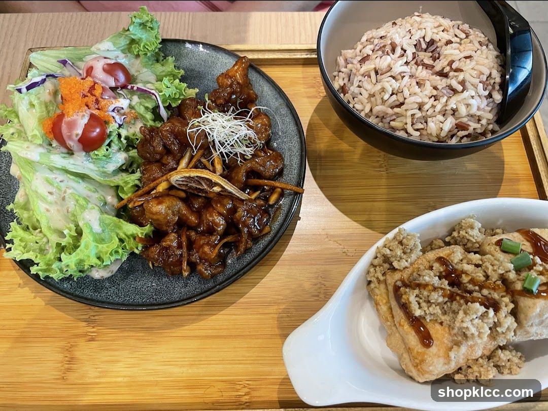 Meal with Rice and Salad
