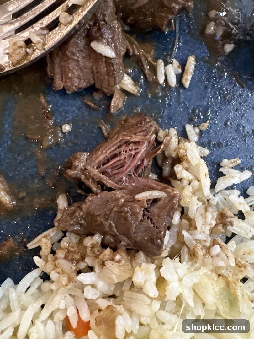 Shredded Beef and Rice