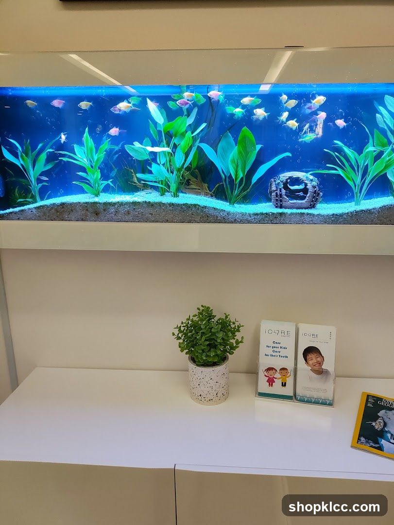 Dental Office Waiting Area