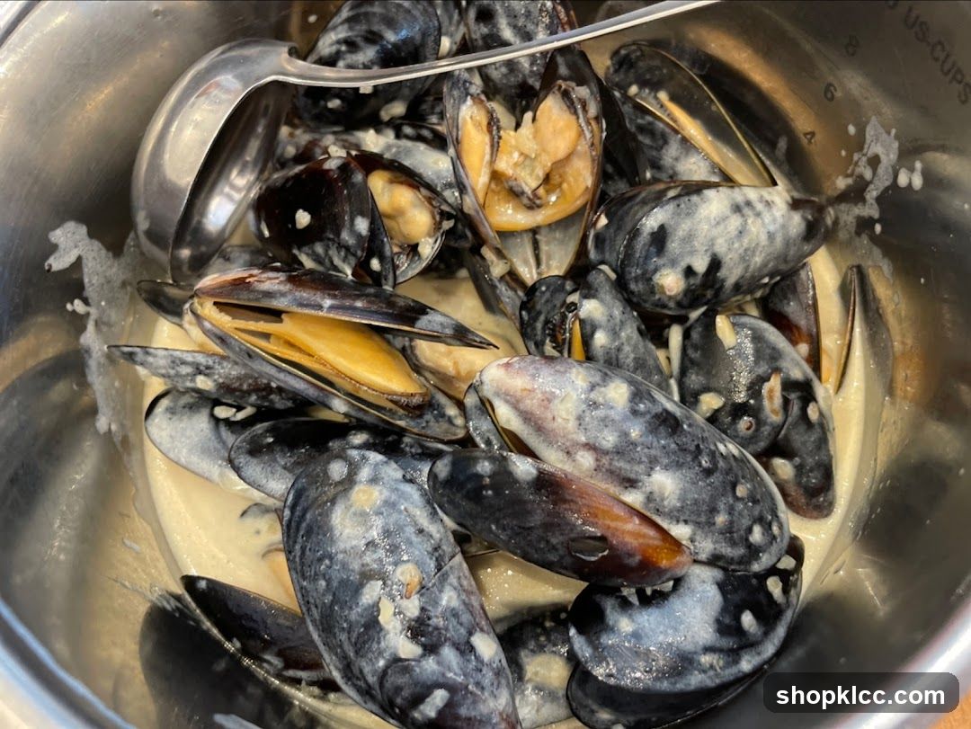 Mussels in Cream Sauce