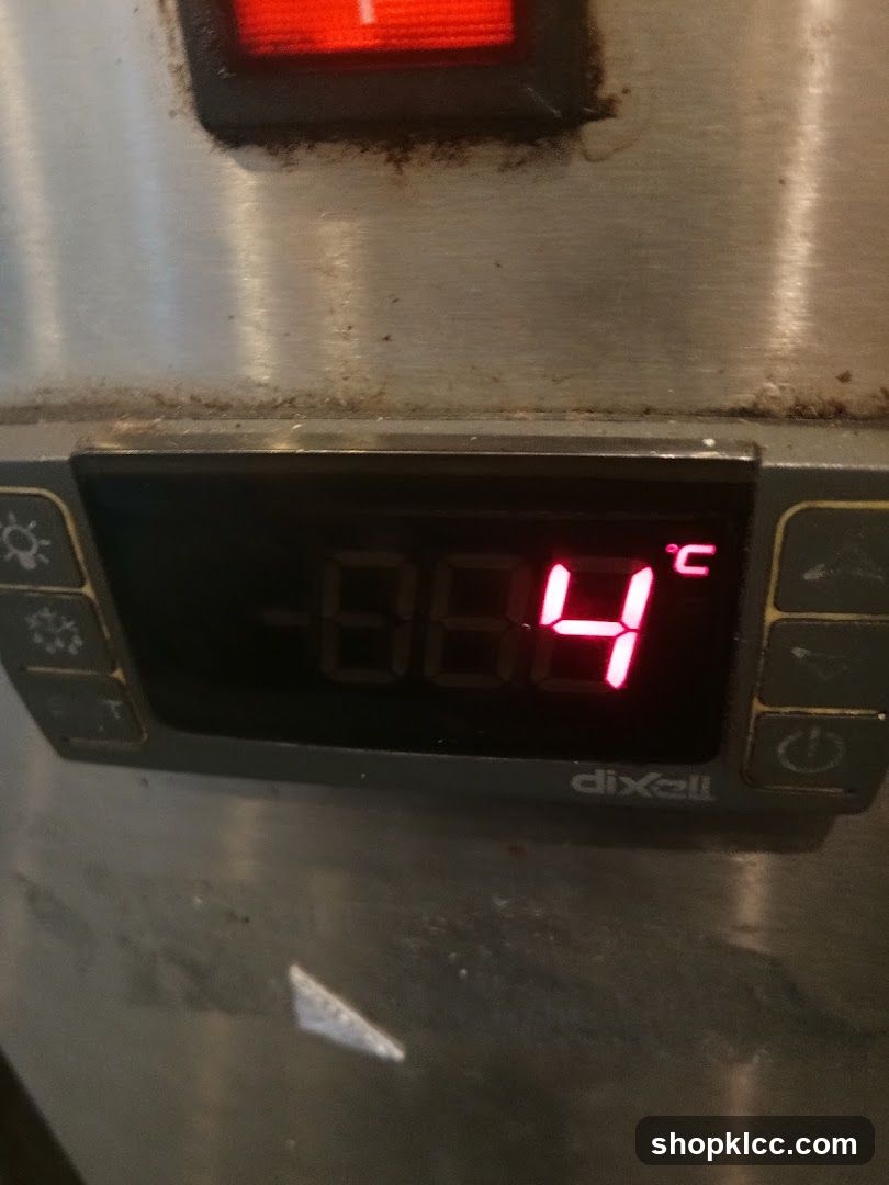 Digital Thermometer Display