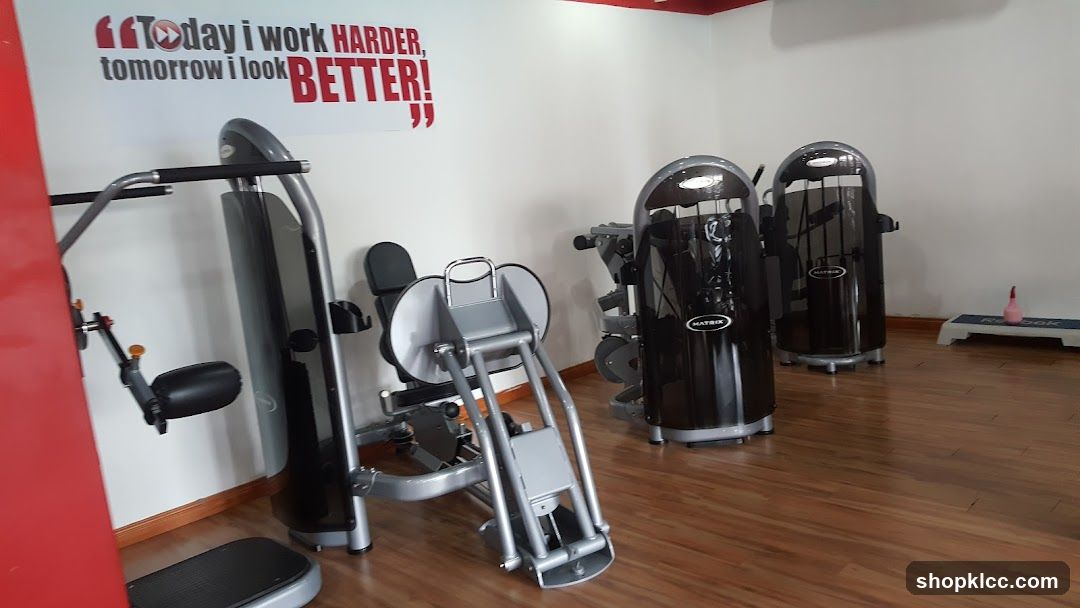 Gym Interior with Exercise Equipment