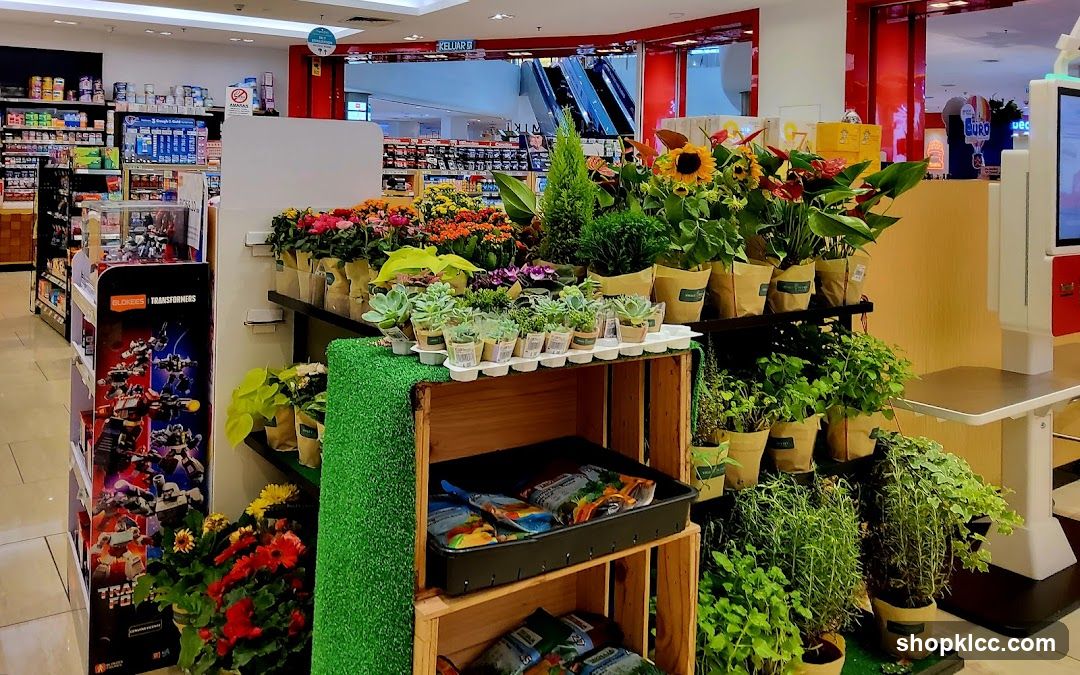 Indoor Plant Display