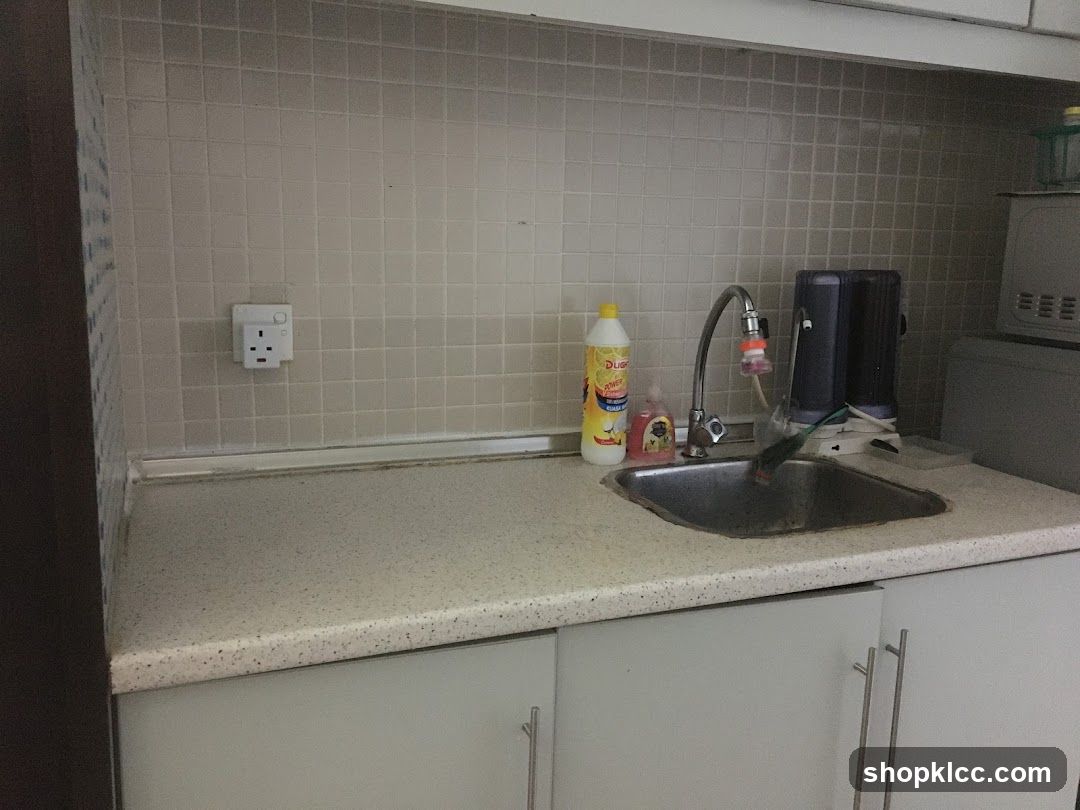 Kitchen Sink Area