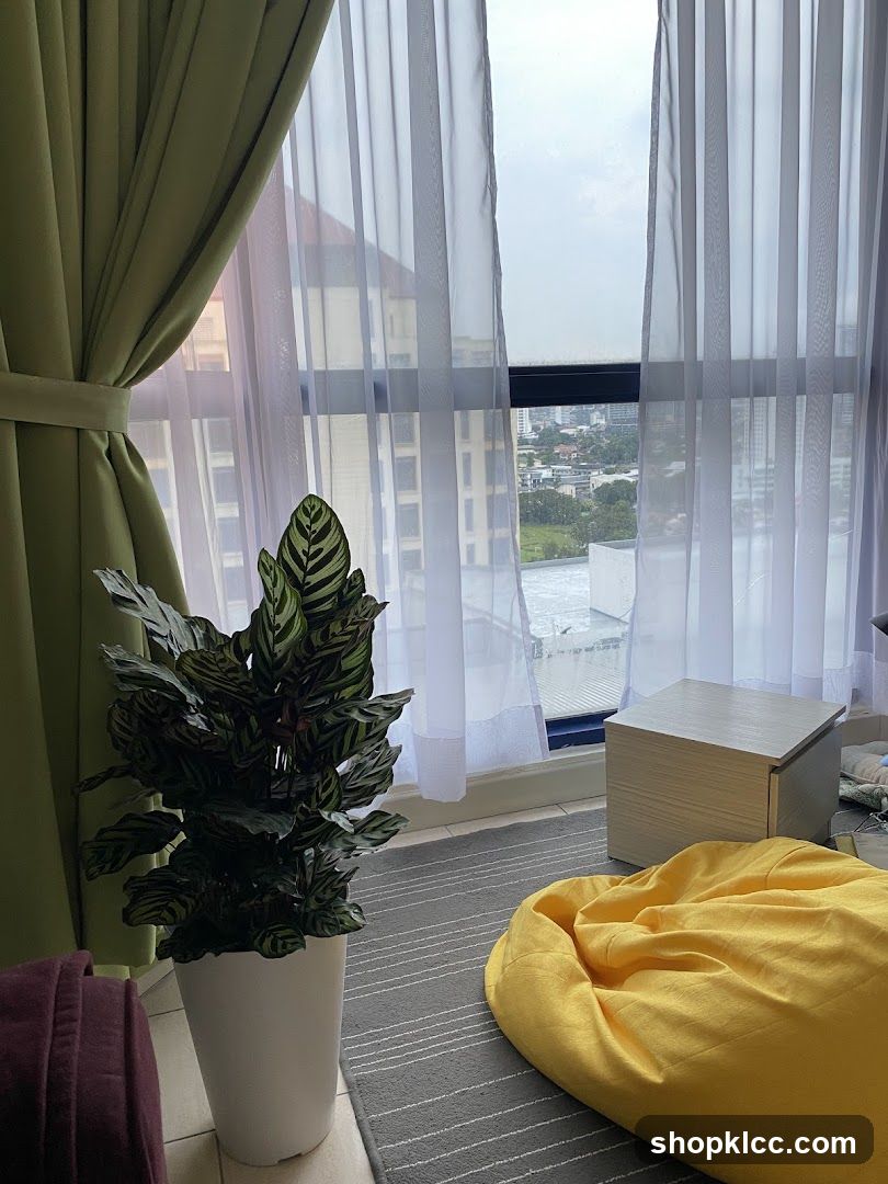 Cozy corner with a plant and beanbag