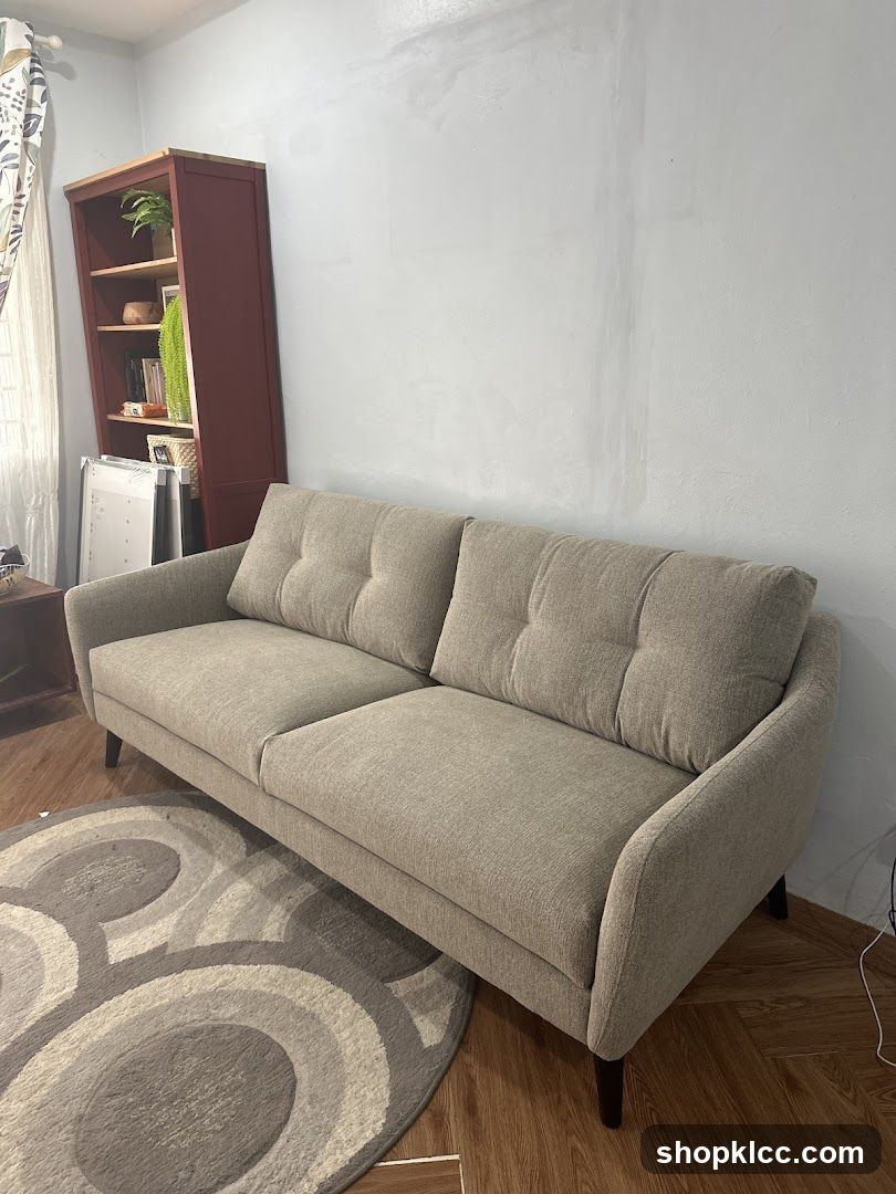 Sofa and Bookshelf