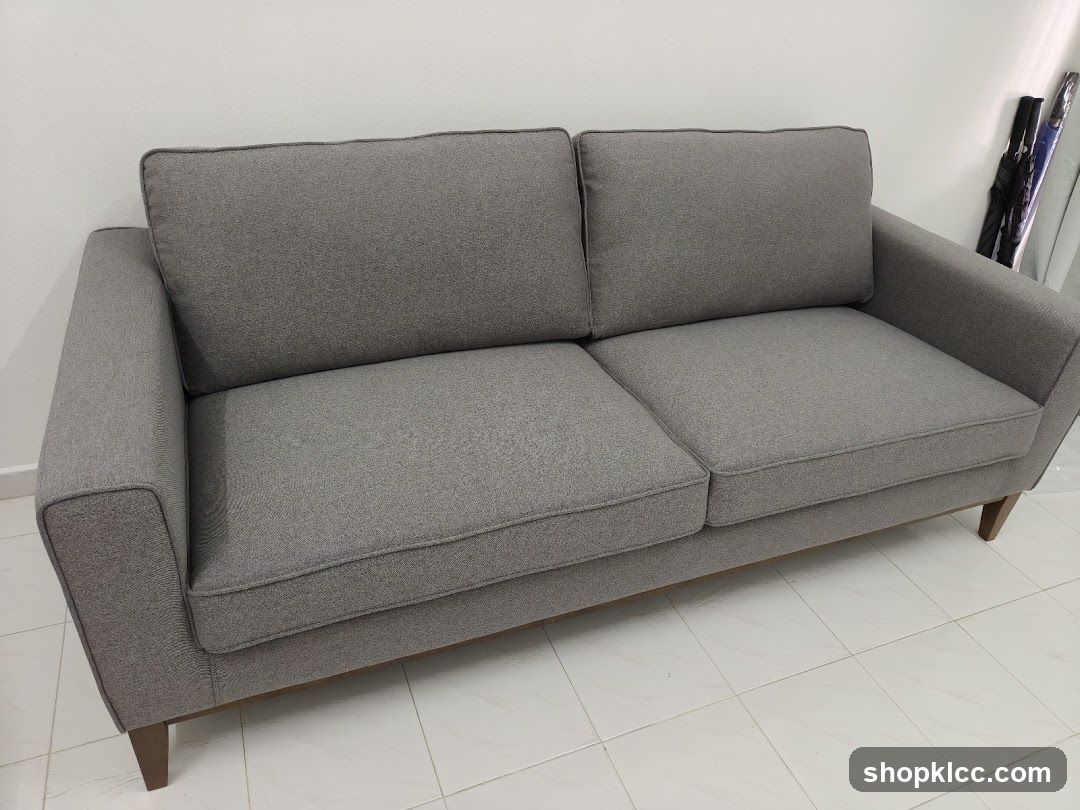 Gray Sofa