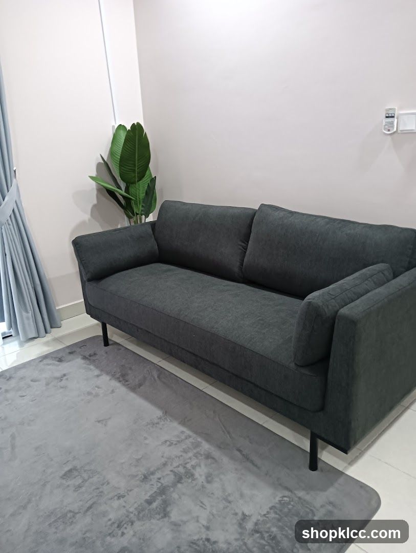 Modern Living Room Setup