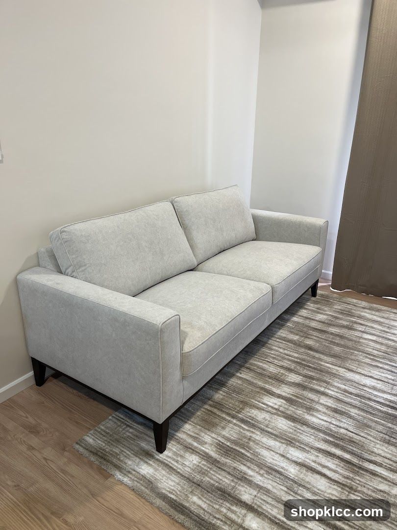 Light Gray Sofa on Striped Rug