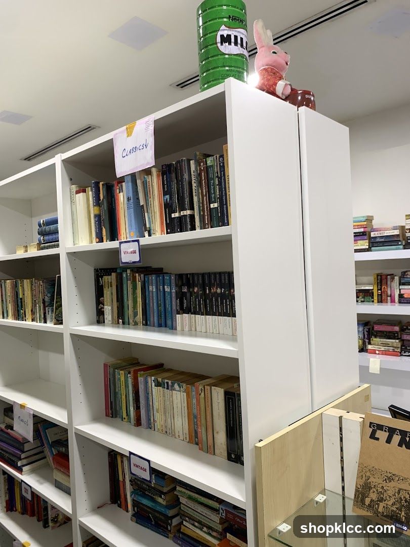 Bookshelves with books