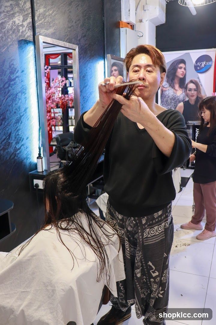 Hairdresser cutting hair