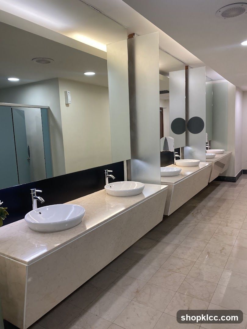 Modern Restroom Sinks
